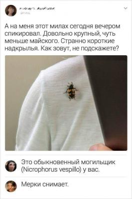 Прикрепленное изображение: 375334151_122114648966020586_5725046421980133067_n.jpg